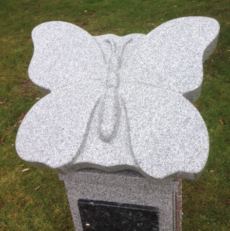 Butterfly-16_2